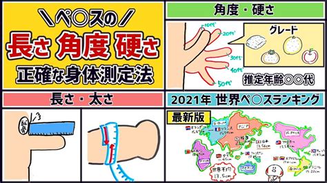 ペニス・チンコの正確な長さ・太さの測り方【図解】。